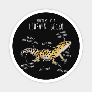 Anatomy of a Leopard Gecko Magnet